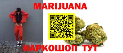 сатива Обнинск