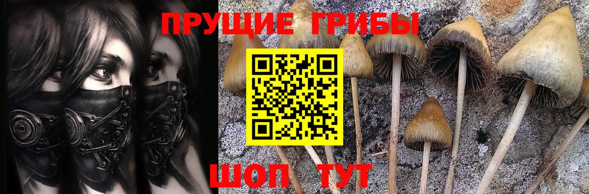Реутов  Псилоцибиновые грибы мицелий  Вход с VPN 